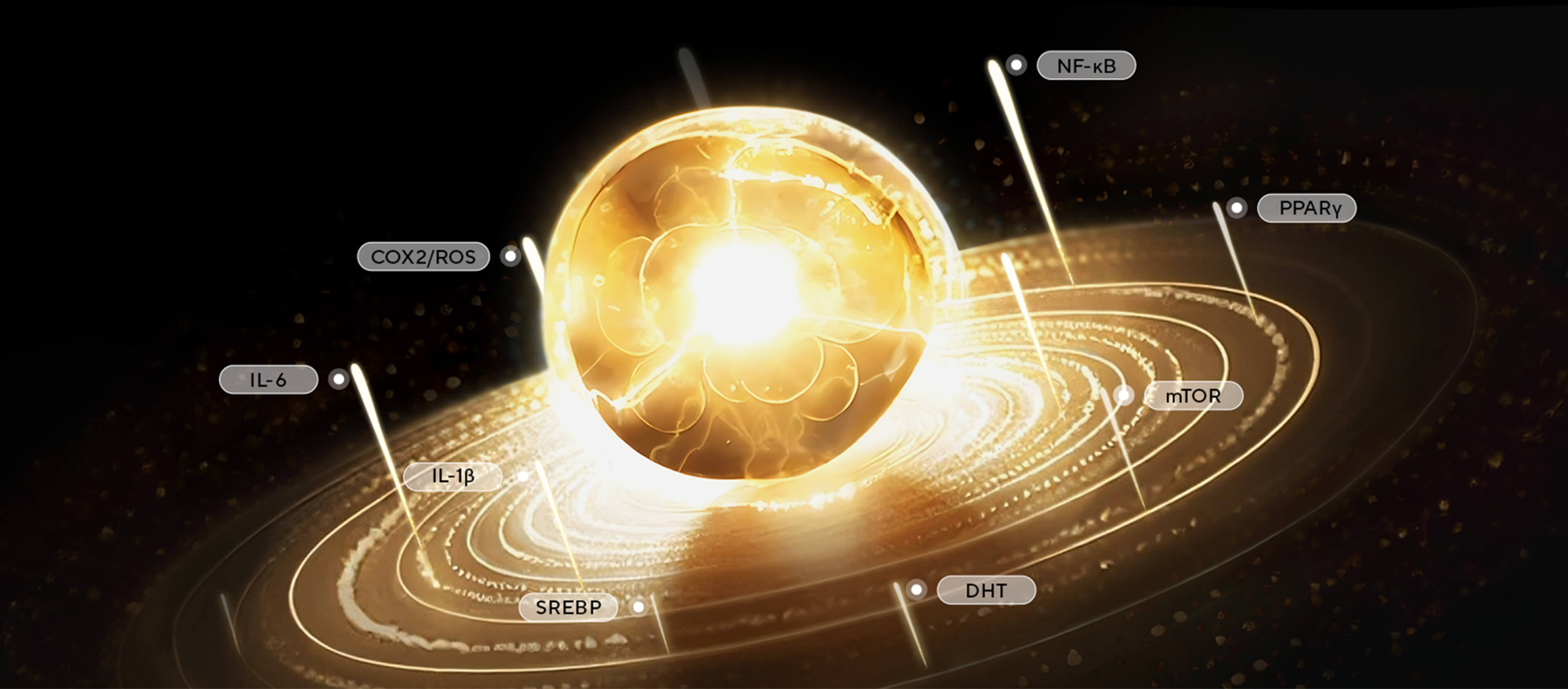 以最小的单位&mdash;&mdash;细胞，解构皮肤问题真相